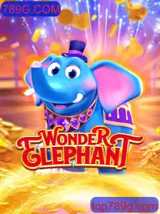 Descubra o Fascinante Jogo WonderElephant: Descrição e Regras para 2023